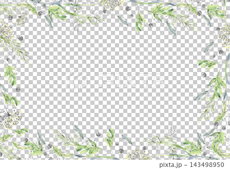Parsley, celery edible herbs, dill, fennel and peppercorns detailed foliage, seeds, natural textures. Isolated hand drawn pencil and watercolor frame. Nutrition resources, cafe menu, recipe cards Parsley, celery edible herbs, dill, fennel and peppercorns detailed foliage, seeds, natural textures. Isolated hand drawn pencil and watercolor frame. Nutrition resources, cafe menu, recipe cards 143498950