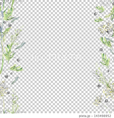 Parsley, celery, scattered peppercorns, dill and fennel edible herbs, seasoning plants and aromatic ingredients with leafy greens. Isolated hand drawn pencil outline, watercolor bleeds seamless banner Parsley, celery, scattered peppercorns, dill and fennel edible herbs, seasoning plants and aromatic ingredients with leafy greens. Isolated hand drawn pencil outline, watercolor bleeds seamless banner 143498952