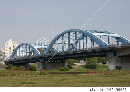 多摩川にかかる丸子橋の風景 多摩川にかかる丸子橋の風景 143499421
