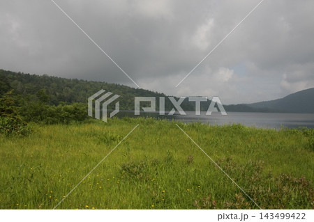 夏の尾瀬の湖畔と曇り空の風景 143499422