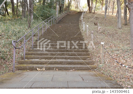 公園へ続く長い階段と手すりの風景 143500461