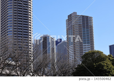武蔵小杉の高層マンション群と冬の木々 武蔵小杉の高層マンション群と冬の木々 143500462
