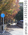武蔵小杉の二ヶ領用水沿いの紅葉と散策路 143501293