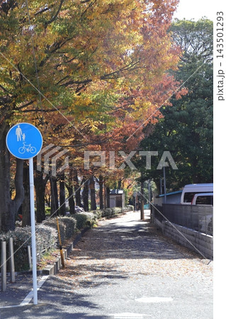 武蔵小杉の二ヶ領用水沿いの紅葉と散策路 143501293