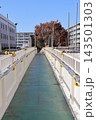 仮設通路と紅葉の景観 143501303