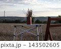 Table with a vase of dried plants in a field. 143502605