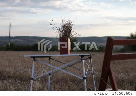 Table with a vase of dried plants in a field. 143502605