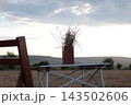 Table with a vase of dried plants in a field. 143502606