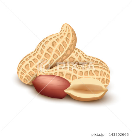 Realistic peanut in nutshell, kernels and peeled halves on white background. 3D nuts for organic product package design. Raw groundnut seeds for healthy diet. Natural products. Realistic peanut in nutshell, kernels and peeled halves on white background. 3D nuts for organic product package design. Raw groundnut seeds for healthy diet. Natural products. 143502666