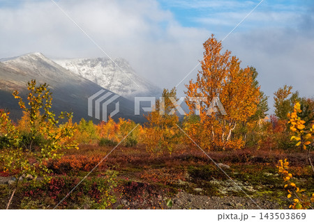 Epic Snow-Capped Mountain Pass in Rugged Arctic Wilderness Landscape 143503869