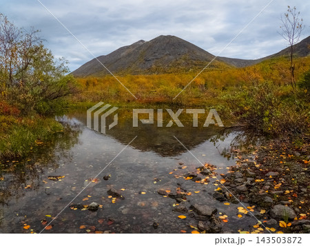 Perfect Triangle Mountain Peak Reflection in Still Autumn Tundra Pond Perfect Triangle Mountain Peak Reflection in Still Autumn Tundra Pond 143503872