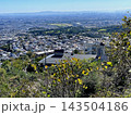 宝塚市逆瀬台界隈から仁川競馬場方面を望む 143504186