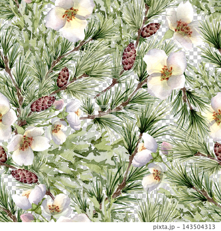 Watercolor seamless pattern of white flowers, pine branches and cone isolated. Christmas or New Year repeat coniferous floral background. Botanical winter holiday surface design hand drawn for textile Watercolor seamless pattern of white flowers, pine branches and cone isolated. Christmas or New Year repeat coniferous floral background. Botanical winter holiday surface design hand drawn for textile 143504313