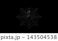 3D Halloween Black Spider Sitting on Spiderweb Against Dark Black Background Illustration 3D Halloween Black Spider Sitting on Spiderweb Against Dark Black Background Illustration 143504538