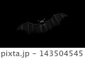 Halloween 3D Illustration of Cute Black Bat Flying with Glowing Orange Eyes on Dark Background Halloween 3D Illustration of Cute Black Bat Flying with Glowing Orange Eyes on Dark Background 143504545