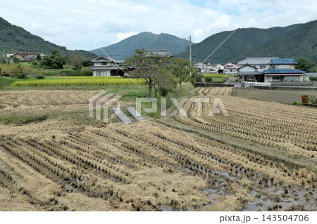 稲刈り後の田んぼが広がる山あいの農村と集落 稲刈り後の田んぼが広がる山あいの農村と集落 143504706