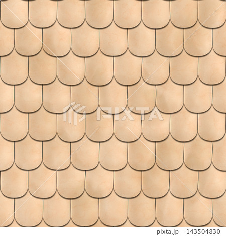 Terracotta Roof Tiles Seamless Texture Terracotta Roof Tiles Seamless Texture 143504830