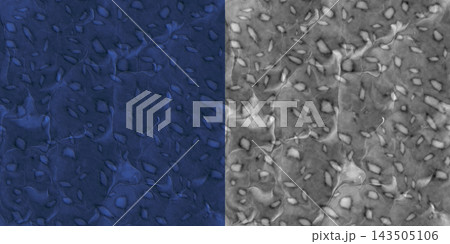 Blue and Grey Marble Stone Split Comparison Preview Blue and Grey Marble Stone Split Comparison Preview 143505106