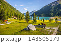 Visitors enjoy the view of Lake Neves in South Tyrol, located at the end of the Molini Valley in the Zillertal Alps, Italy. The area is surrounded by green trees and mountains. 143505179
