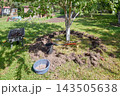 Gardening work in an organic orchard. 143505638