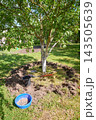 Gardening work in an organic orchard. 143505639