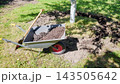 Gardening work in an organic orchard. 143505642