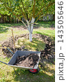 Gardening work in an organic orchard. 143505646