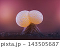 Slime mold - Physarum viride. It's a small protist organism 143505687