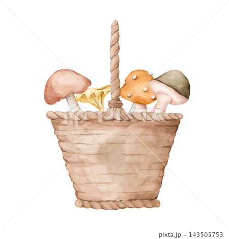 Cute Basket of Autumn Mushrooms. Watercolor hand drawn floral food illustration isolated on white background for farm garden design fall home kitchen textile cozy print crockery package cottagecore 143505753