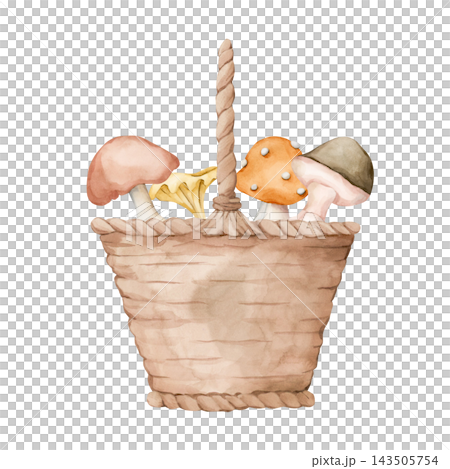 Cute Basket of Autumn Mushrooms. Watercolor hand drawn floral food illustration isolated on white background for farm garden design fall home kitchen textile cozy print crockery package cottagecore 143505754