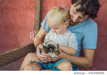 Toddler strokes a guinea pig with his father's support. Sensory exploration and gentle animal interaction. 143506960