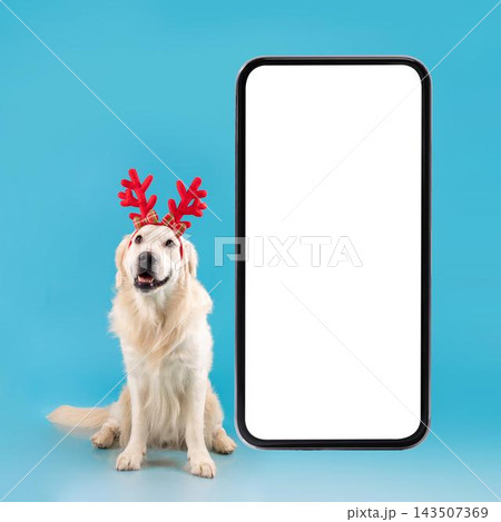Happy Golden Retriever Dog Wearing Reindeer Antlers, Smiling Cheerfully While Sitting Next To Empty Smartphone Screen, Ideal For Christmas-themed Advertising In Studio Setting. 143507369