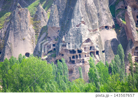 Cave dwellings carved into rock formations near the landscape of Turkey with greenery Cave dwellings carved into rock formations near the landscape of Turkey with greenery 143507657