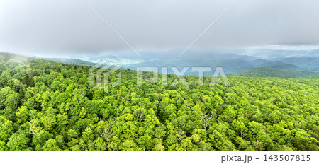 Nature landscape of Tennessee Appalachian mountains. Mountain forest with green canopies in summer rain season 143507815