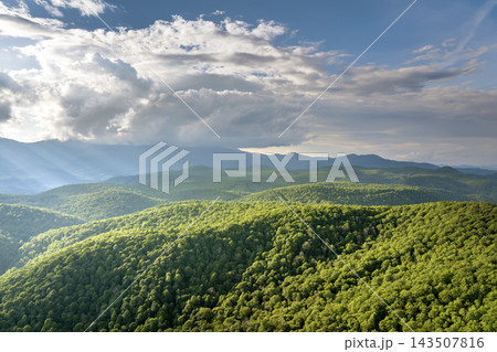 Nature landscape of Mt Mitchell in Appalachian mountains at sunrise. Mountain forest with green canopies in summer season Nature landscape of Mt Mitchell in Appalachian mountains at sunrise. Mountain forest with green canopies in summer season 143507816