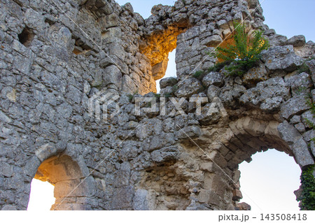 Old stone ruins stand against a clear sky with green plants visible in the cracks during the daytime 143508418