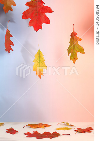 Vibrant, modern and elegant product display table adorned with maple leaves, minimalist autumn concept, a creative autumn arrangement and a digital display banner. Thanksgiving greeting card Vibrant, modern and elegant product display table adorned with maple leaves, minimalist autumn concept, a creative autumn arrangement and a digital display banner. Thanksgiving greeting card 143508594