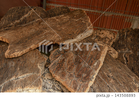Raw Harvested Cork Oak Bark Slabs Stacked for Processing 143508893