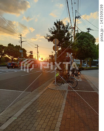 バス停から何気なく撮った夕日がただ美しい 143509199