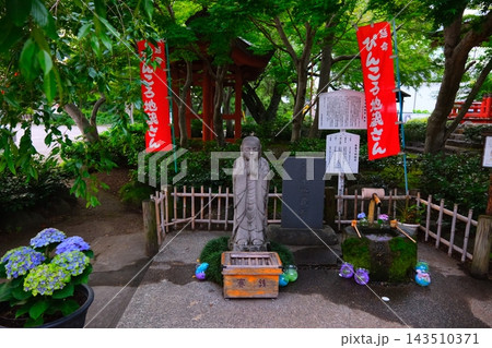 水戸八幡宮保和苑の紫陽花 143510371
