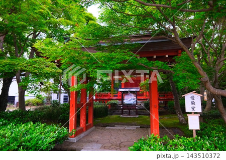 水戸八幡宮保和苑の紫陽花 水戸八幡宮保和苑の紫陽花 143510372