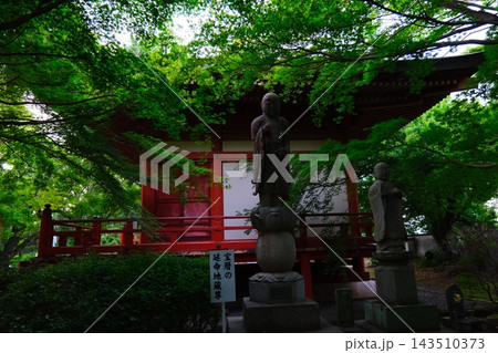 水戸八幡宮保和苑の紫陽花 水戸八幡宮保和苑の紫陽花 143510373