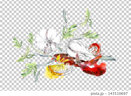 Fresh chili pepper, lemon vegetables, parsley or cilantro herbs and spices, rustic Mediterranean food. Isolated hand drawn pencil and watercolor illustration. Culinary publications, restaurant menu 143510697