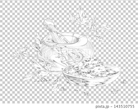 Mortar and pestle, parsley or cilantro leaves. dried crushed assorted herbs in shallow wooden bowl. Isolated hand drawn pencil illustration. Food blogs, recipe collections, digital cooking content Mortar and pestle, parsley or cilantro leaves. dried crushed assorted herbs in shallow wooden bowl. Isolated hand drawn pencil illustration. Food blogs, recipe collections, digital cooking content 143510755