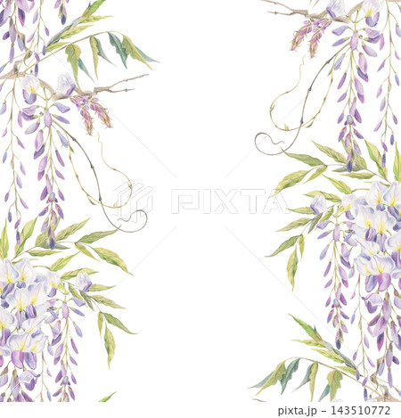 Ornamental wisteria seamless banner, flowers on rustic wooden branches, spring feathered leaves. Watercolor illustration hand drawn in crayon pencil. Wedding templates, bookmarks, planner dividers Ornamental wisteria seamless banner, flowers on rustic wooden branches, spring feathered leaves. Watercolor illustration hand drawn in crayon pencil. Wedding templates, bookmarks, planner dividers 143510772