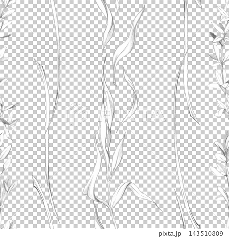Tarragon, chives and lemongrass stripes, aromatic culinary herbs, fresh leaves and fragrant seasoning plants. Isolated pencil hand drawn seamless pattern. Kitchen decor, food wrapping, textile design Tarragon, chives and lemongrass stripes, aromatic culinary herbs, fresh leaves and fragrant seasoning plants. Isolated pencil hand drawn seamless pattern. Kitchen decor, food wrapping, textile design 143510809