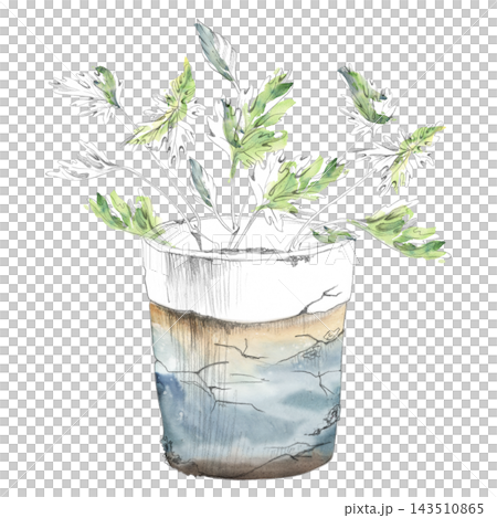 Culinary herbs in terracotta flower pot, parsley or cilantro plants, fresh seasoning in rustic container. Isolated hand drawn pencil and watercolor illustration. Urban gardening, sustainable living Culinary herbs in terracotta flower pot, parsley or cilantro plants, fresh seasoning in rustic container. Isolated hand drawn pencil and watercolor illustration. Urban gardening, sustainable living 143510865
