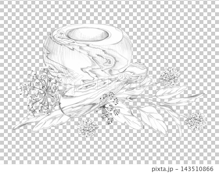 Wooden mortar, pestle. Basil, dill and chives flowers. Aromatic herbs, culinary plants isolated hand drawn pencil illustration. Mediterranean cuisine, cooking magazines, ingredient guides, gastronomy. Wooden mortar, pestle. Basil, dill and chives flowers. Aromatic herbs, culinary plants isolated hand drawn pencil illustration. Mediterranean cuisine, cooking magazines, ingredient guides, gastronomy. 143510866