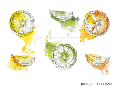 Citrus wheels, lime slices. Orange, lemon, grapefruit aromatic Mediterranean fruit, mandarin fresh peel texture. Isolated pencil, watercolor hand drawn illustration. Recipe collections, food magazines Citrus wheels, lime slices. Orange, lemon, grapefruit aromatic Mediterranean fruit, mandarin fresh peel texture. Isolated pencil, watercolor hand drawn illustration. Recipe collections, food magazines 143510921