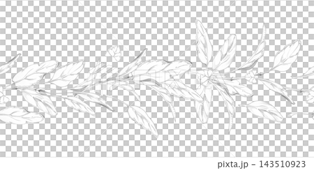 Marjoram, oregano leaves, sage or spinach. Mediterranean herbs fresh edible plants, aromatic seasoning foliage and vegetable garden crops. Isolated hand drawn pencil seamless banner. Healthy cooking Marjoram, oregano leaves, sage or spinach. Mediterranean herbs fresh edible plants, aromatic seasoning foliage and vegetable garden crops. Isolated hand drawn pencil seamless banner. Healthy cooking 143510923